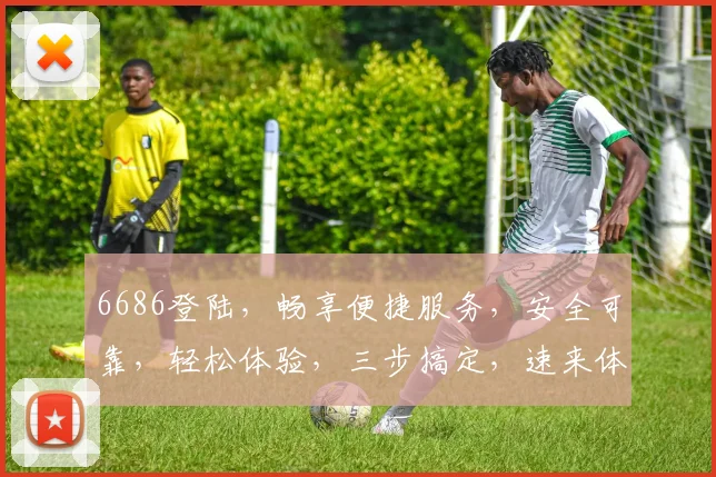 6686登陆，畅享便捷服务，安全可靠，轻松体验，三步搞定，速来体验