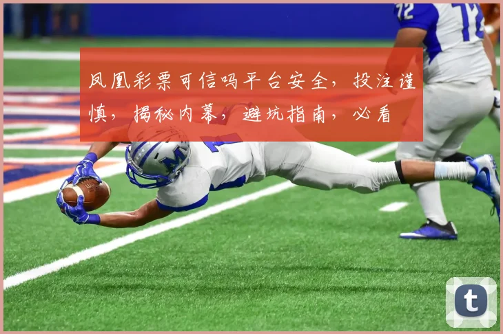凤凰彩票可信吗平台安全，投注谨慎，揭秘内幕，避坑指南，必看
