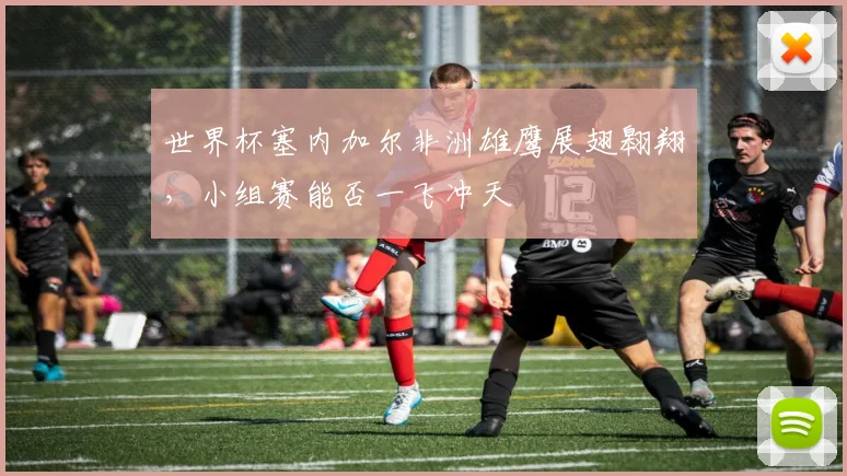 世界杯塞内加尔非洲雄鹰展翅翱翔，小组赛能否一飞冲天