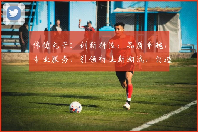 伟德电子：创新科技，品质卓越，专业服务，引领行业新潮流，打造智能生活新体验